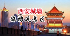 插女人逼视频大叫资源中国陕西-西安城墙旅游风景区